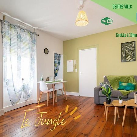 Le Jungle--Hyper Centre--Tout Confort--Wifi Lourdes Esterno foto