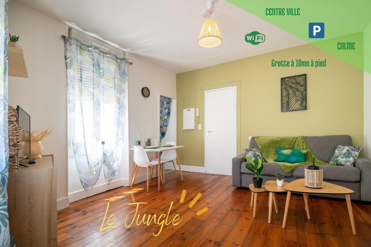 Le Jungle--Hyper Centre--Tout Confort--Wifi Lourdes Esterno foto